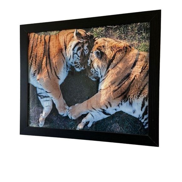 Justin August Photography Other - Tiger Love Photography Print 16x24 (last one!)